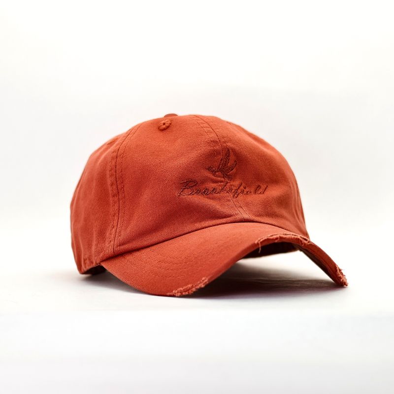 Boné Dad Hat