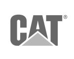 cat-600x480