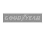 goodyear-600x480